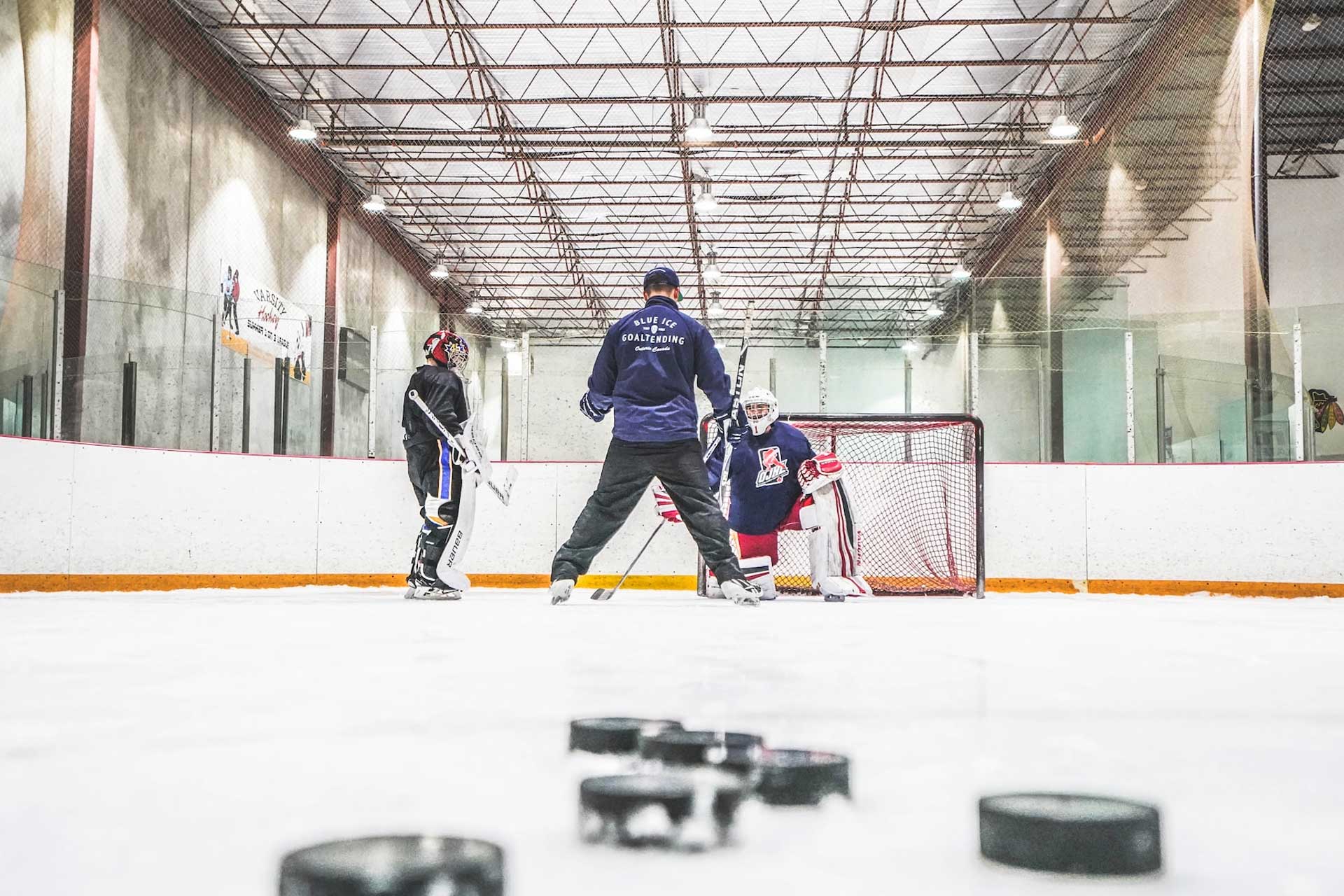 Ut porttitor purus a imperdiet placerat