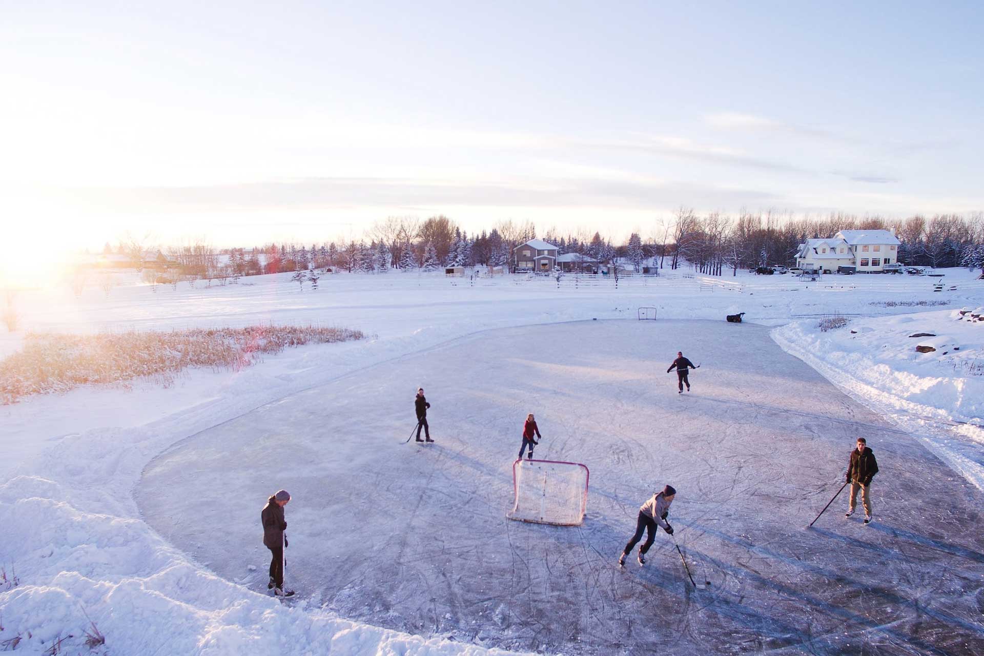 Duis nec mi eu dui euismod bibendum