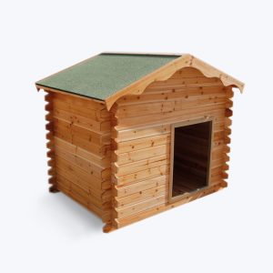 Vivamus placerat eros