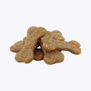 Vivamus blandit lorem