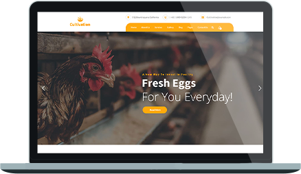 Device Screen