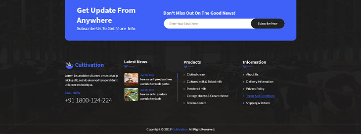 Footer Style 2