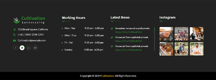 Footer Style 4