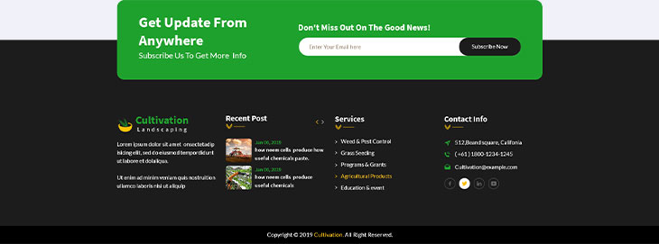Footer Style 5