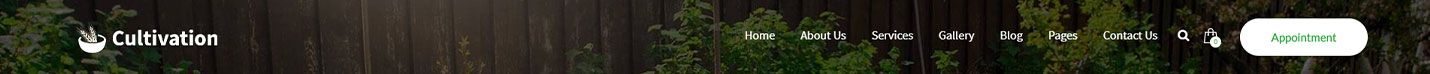 Header Style6