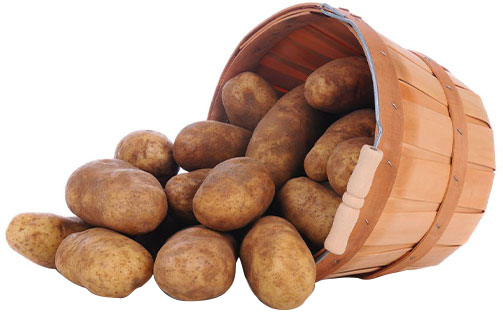 First Image