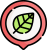 B Bottom