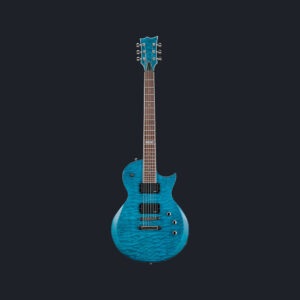 Electric Guitar